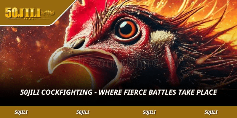 50JILI Cockfighting – Where fierce battles take place