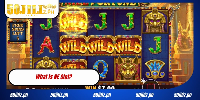 What is NE Slot?